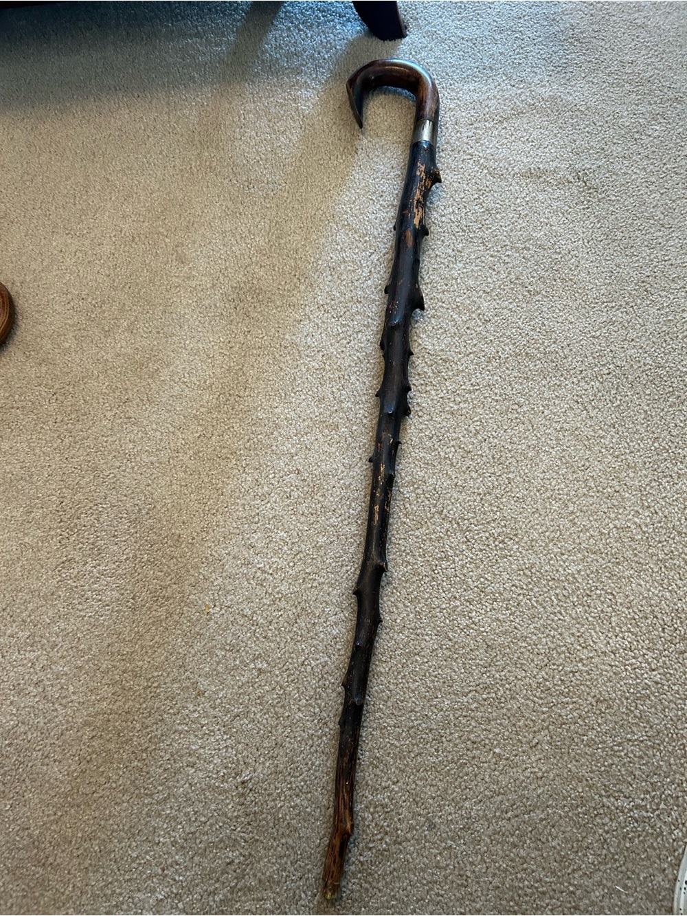 Dark Brown Decorative Walking Cane with Curved Handle